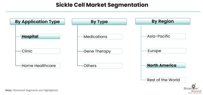 Sickle-Cell-Market-Segmentation